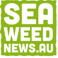 seaweednews logo