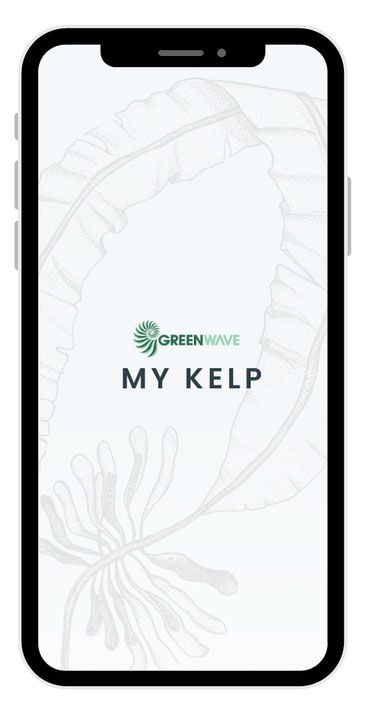 phone with app loaded