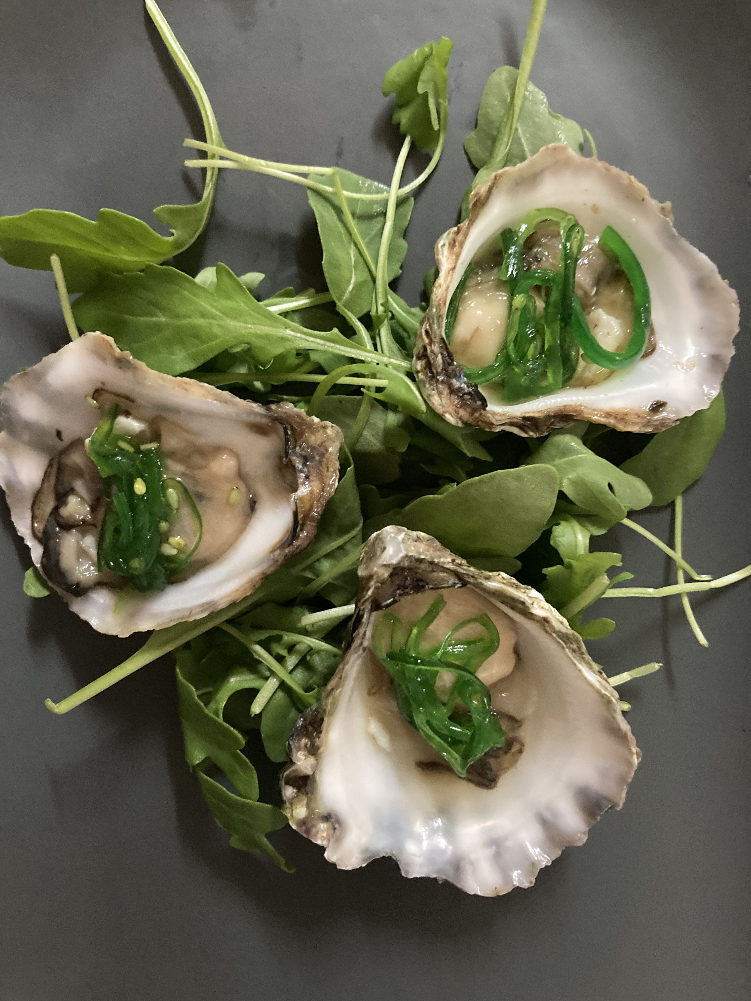 oysters with seaweed